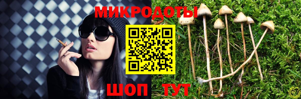 Галлюциногенные грибы мухоморы  купить   Петропавловск-Камчатский  Вход с VPN 